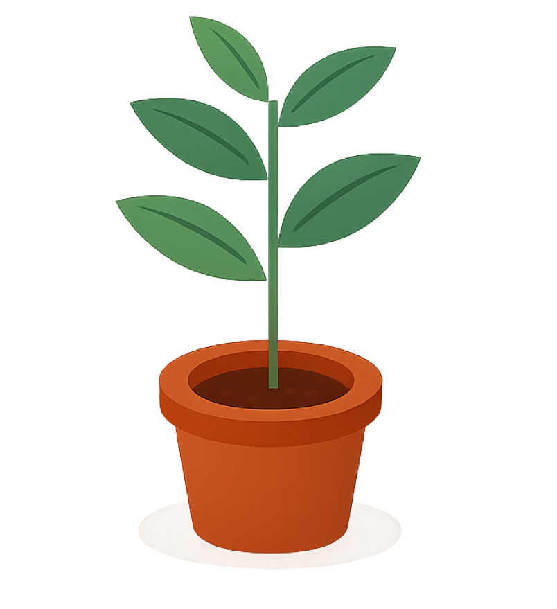 Une plante qui pousse dans un pot, entretenue sans effort.